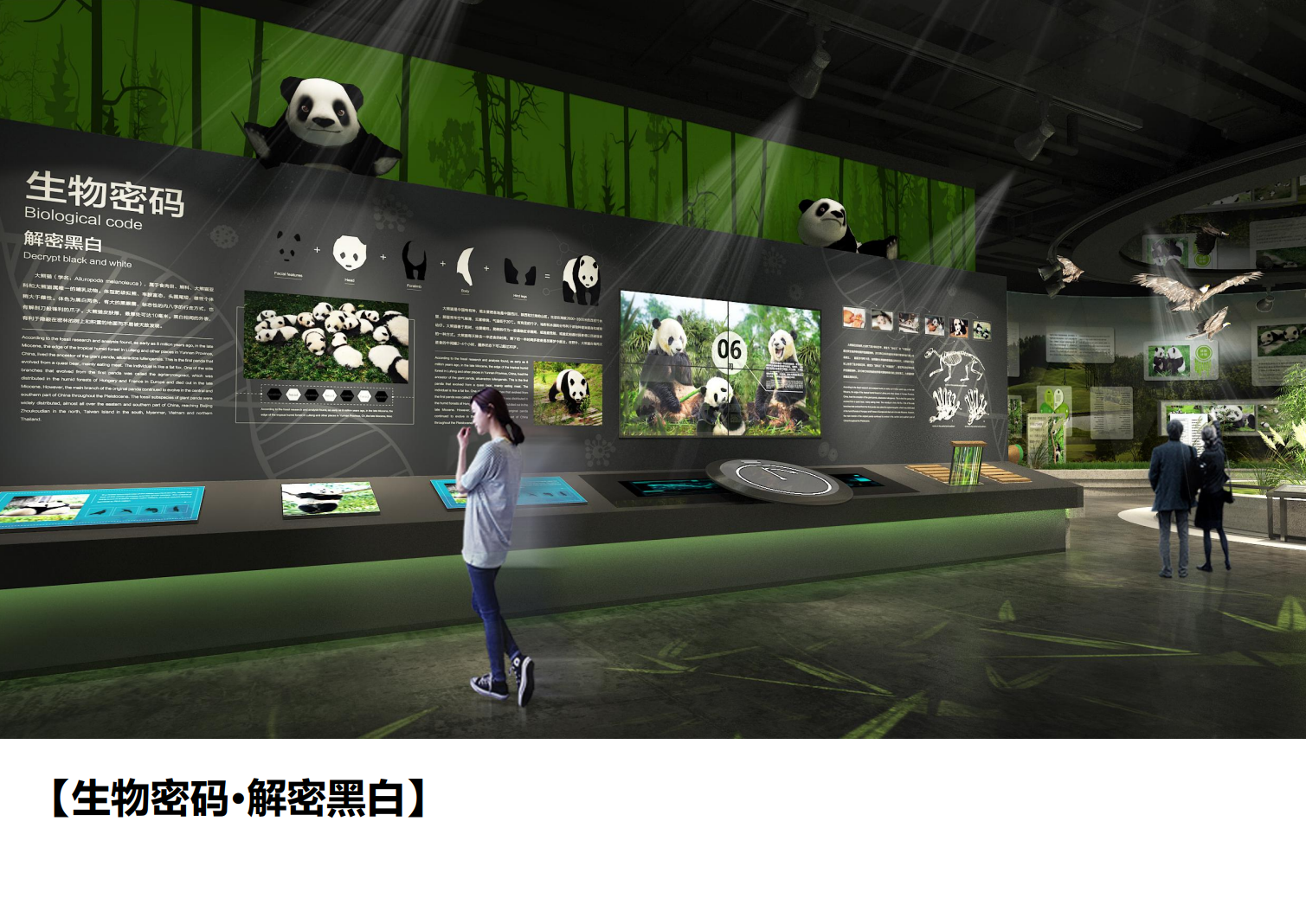 熊猫科技馆建筑与策展概念方案 - 项目展示图1