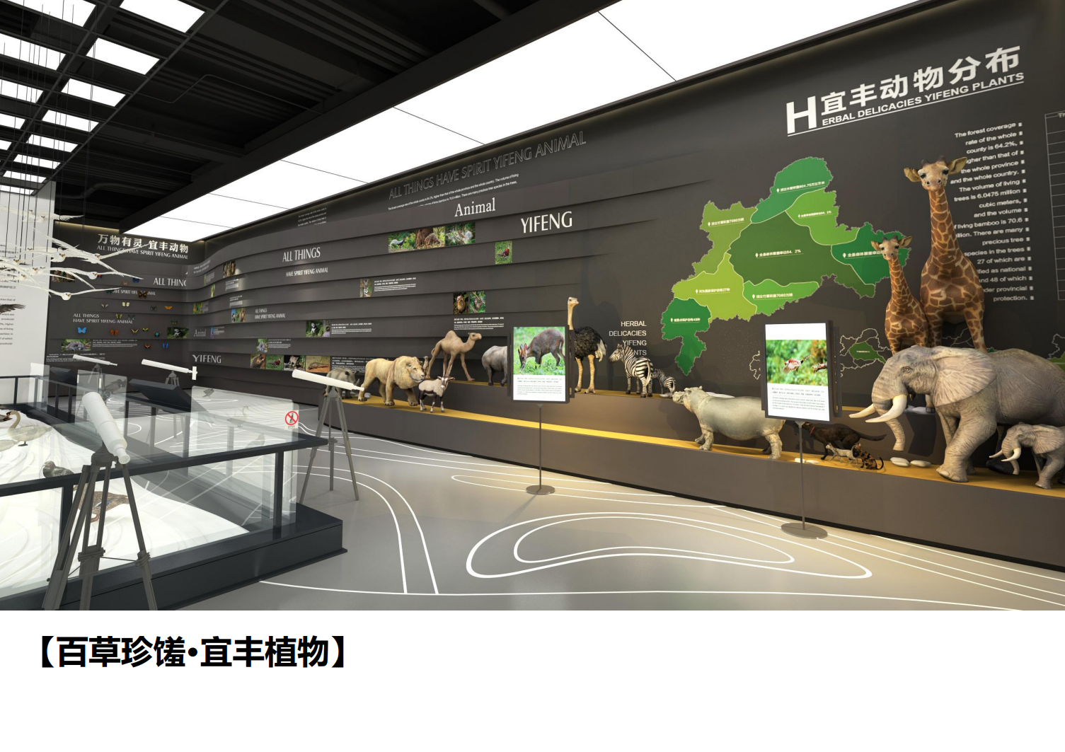 熊猫科技馆建筑与策展概念方案 - 项目展示图2