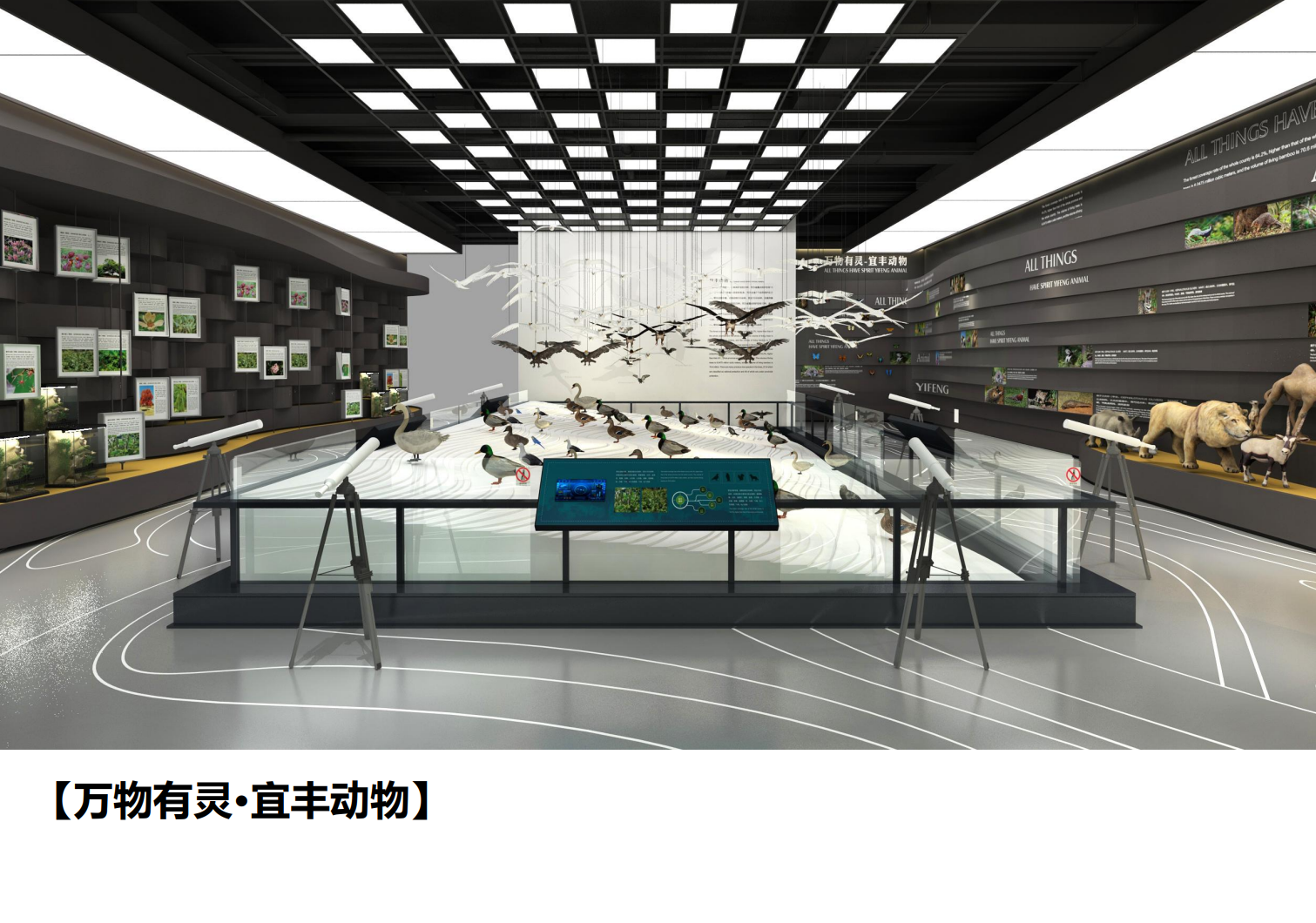 熊猫科技馆建筑与策展概念方案 - 项目展示图6